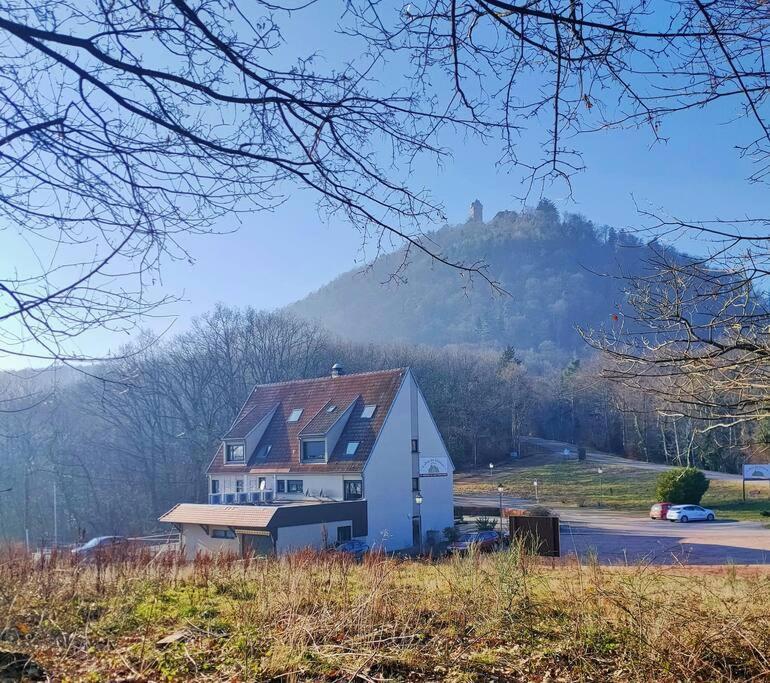 Au Pied Du Chateau オルシュヴィラー エクステリア 写真